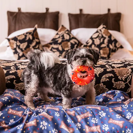 Lough Eske Castle מלון