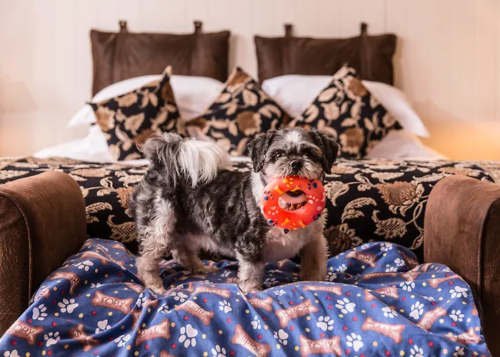 Lough Eske Castle Hotel